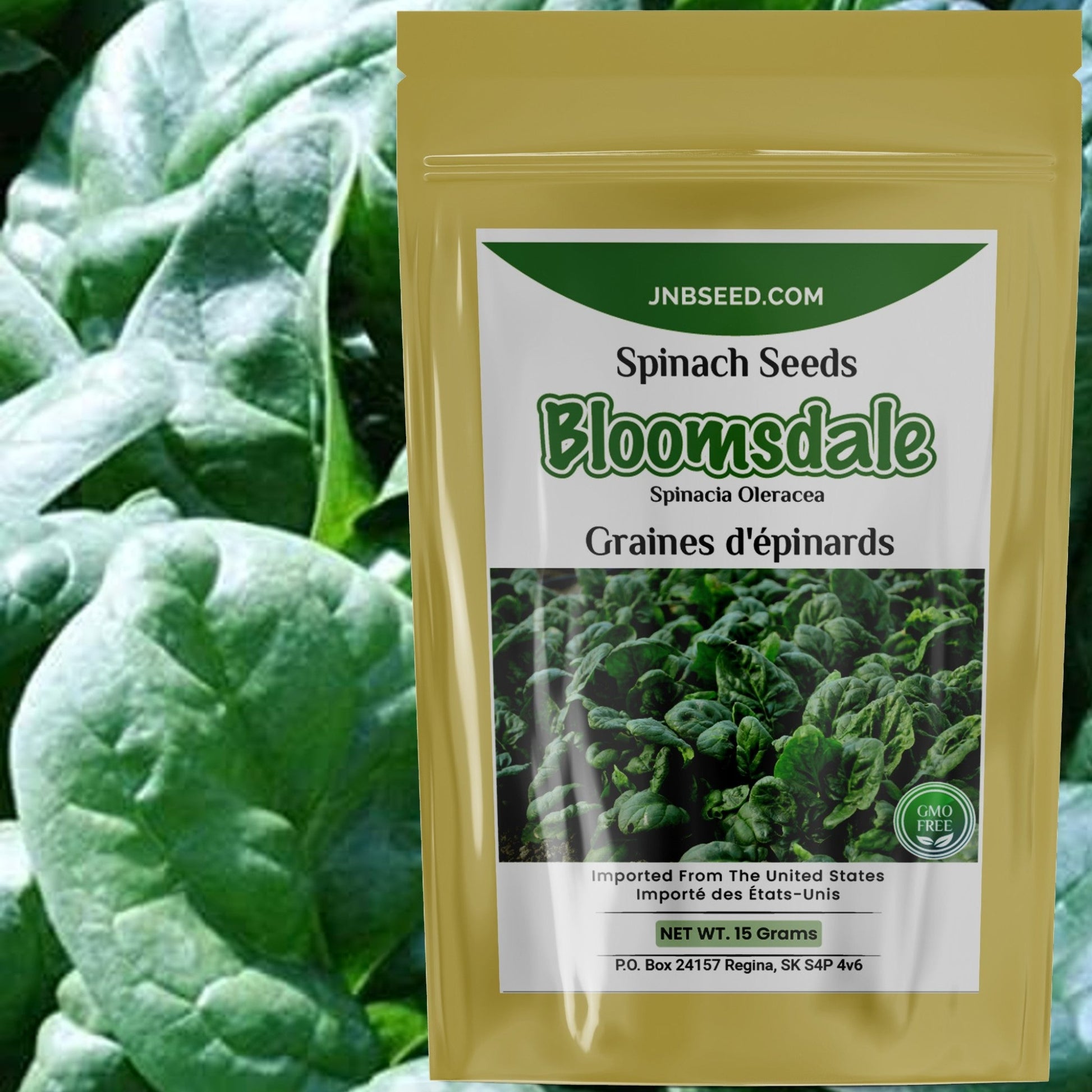 Fresh Bloomsdale Long Standing Spinach seeds ideal for Canada planting Graines d'épinards fraîches Bloomsdale de longue durée, idéales pour la plantation au Canada