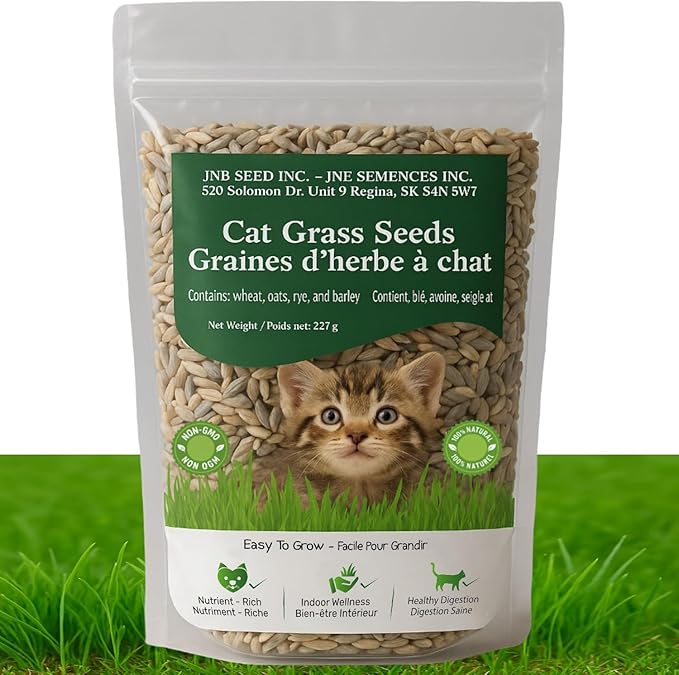 Cat Grass Seeds - Natural & Non-GMO Pet Grass Seed Blend for Cats and Dogs