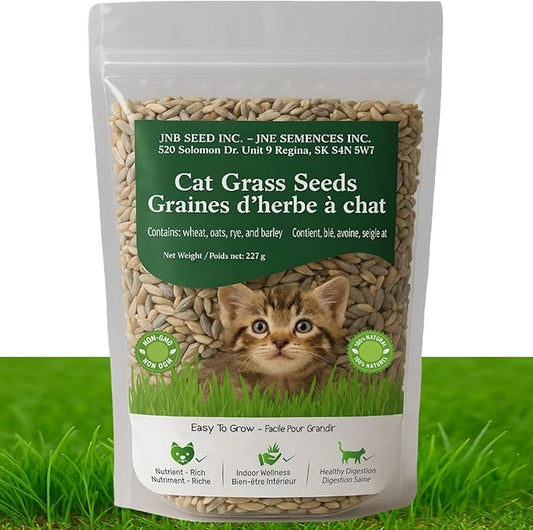 Cat Grass Seeds - Natural & Non-GMO Pet Grass Seed Blend for Cats and Dogs