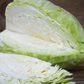 Classic sliced early jersey cabbage Classique tranches de chou jersey tôt