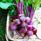 Basket filled with beets on vibrant grass. Panier rempli de betteraves sur une herbe vibrante.