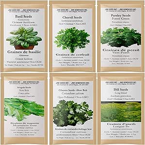 6 Herb Seeds Variety Pack - Basil, Chervil, Parsley, Cilantro, Arugula & Dill