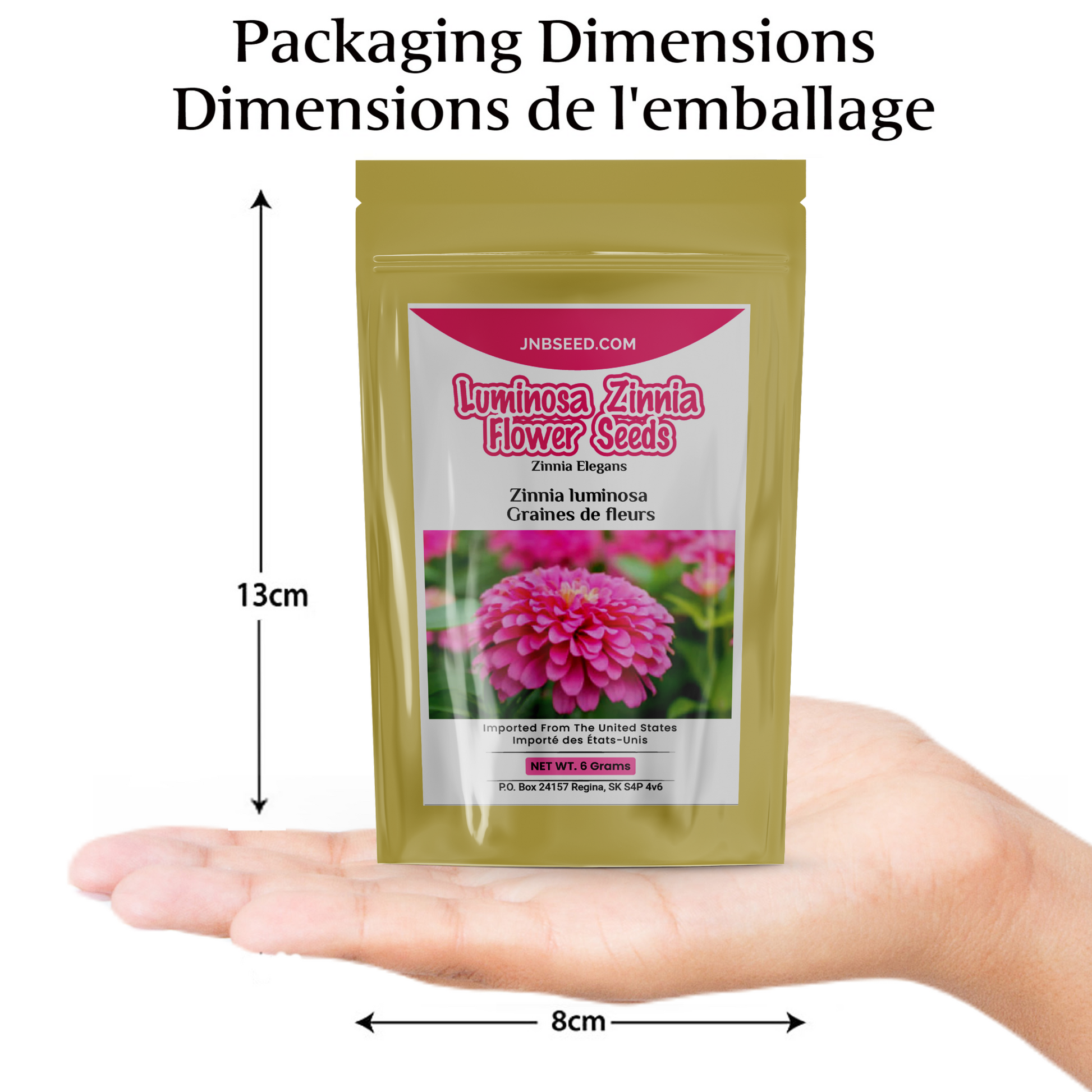 Luminosa Zinnia packaging dimension Dimensions de l'emballage de Luminosa Zinnia