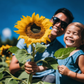 Lemon Queen Sunflower bring Cheer to Your Garden Le tournesol Lemon Queen apporte de la joie à votre jardin.