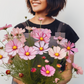 girl smiling while holding a bouquet of Candystripe Cosmos flowers fille souriante tout en tenant un bouquet de fleurs Candystripe Cosmos