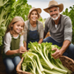 happy family Harvested Tall Utah Celery ready for culinary use famille heureuse récolté grand céleri de l'Utah prêt pour un usage culinaire