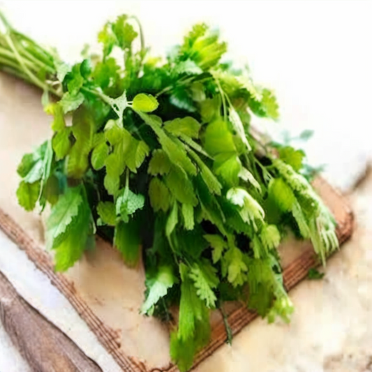Lush Italian parsley in a chopping board Lush persil italien dans une planche à découper