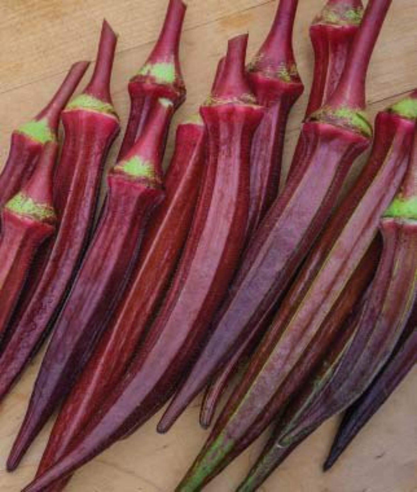 Bunch of red burgundy okras Boucle d'okras rouges bordeaux