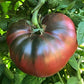 Seed pack of Cherokee Purple tomatoes, suitable for Canada Paquet de graines de tomates Cherokee Purple, adaptées au Canada