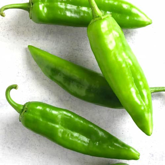 Close-up of Big Jim chili peppers Gros plan de piments Big Jim