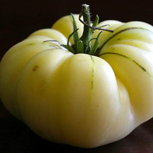 Great White Tomato Seeds - Start Your Garden Grandes graines de tomates blanches - Démarrez votre jardin