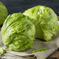 Healthy Iceberg Leaves Feuilles d'iceberg saines