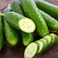 Plant Now: Marketmore 76 Seeds Plantez maintenant : Marketmore 76 graines