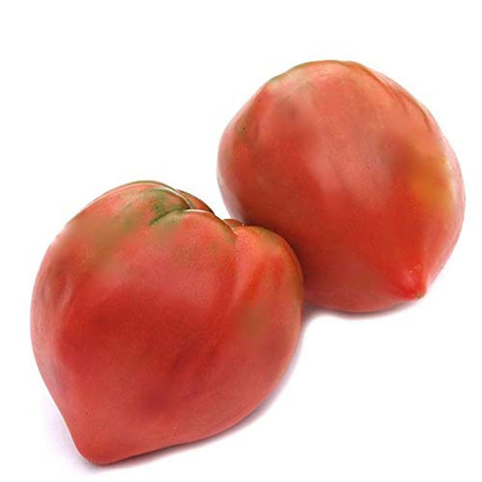 Two Oxheart Heirloom Tomato Deux Oxheart Heirloom Tomato