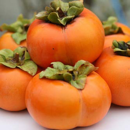 bunch of Persimmon-colored tomato bouquet de tomates couleur kaki