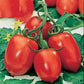 Versatile Roma VF Tomato: Perfect for canning Tomate polyvalente Roma VF: Parfait pour la mise en conserve