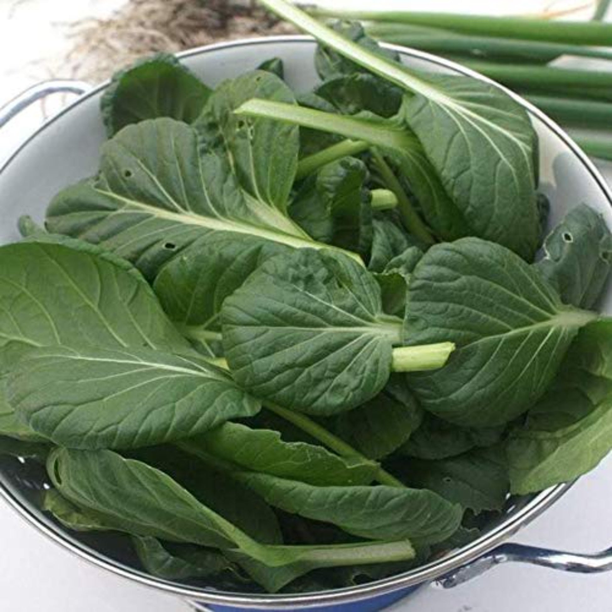 Grow Your Own Green Tatsoi Cabbage with These Seeds Cultivez votre propre chou vert Tatsoi avec ces graines